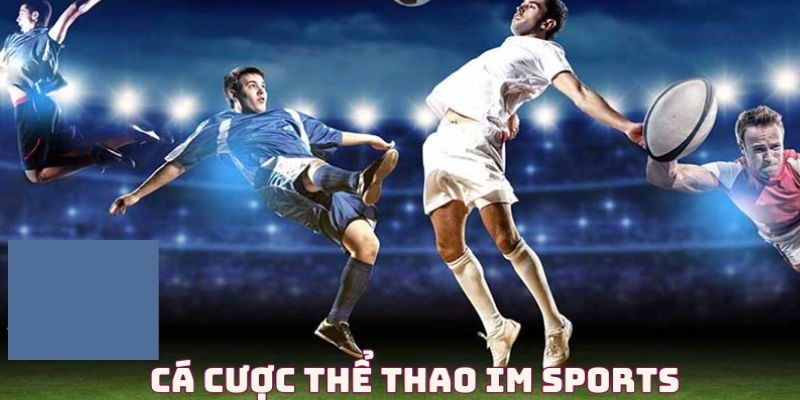 Giới thiệu về sảnh đối tác IM Sports Kubet11