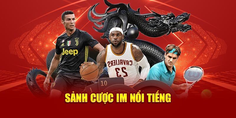 Hình thức cá cược được nhiều người lựa chọn tại IM Sports